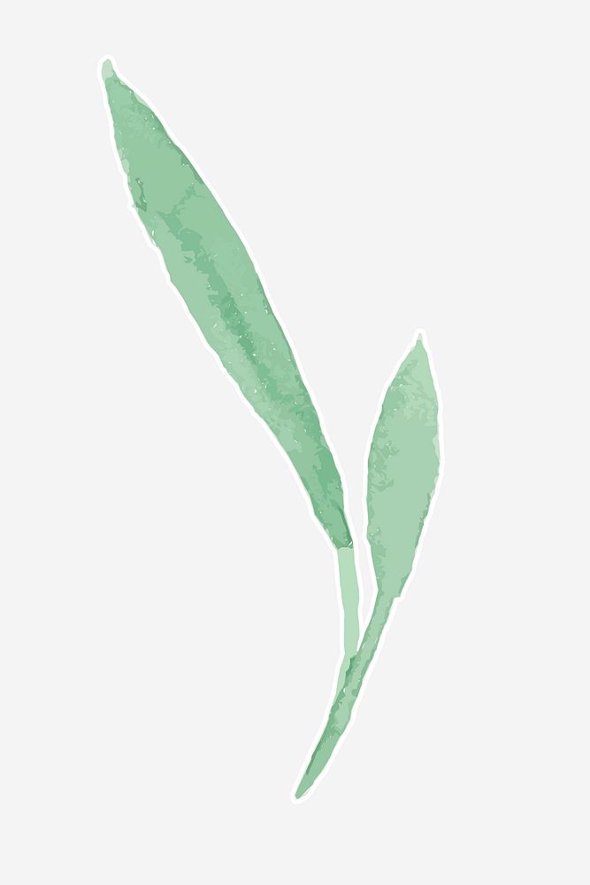 Watercolor green leaves vector hand drawn sticker element