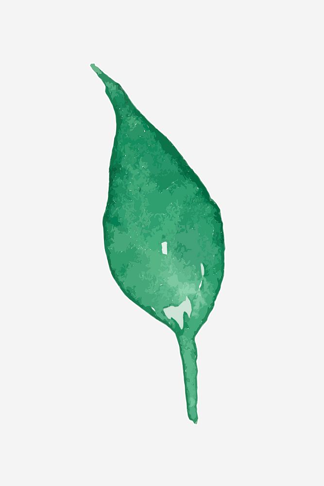 Tropical green leaf watercolor illustration