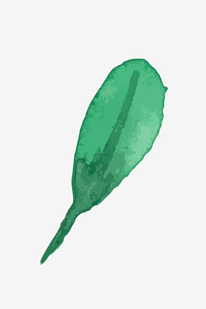 Classic green leaf hand drawn watercolor decorative