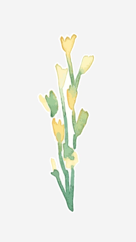 Yellow flower plant vector watercolor illustration