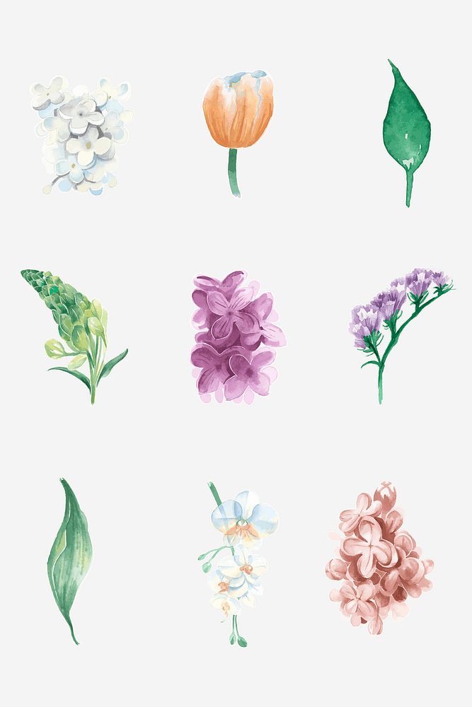 Colorful plant psd vintage watercolor sticker collection