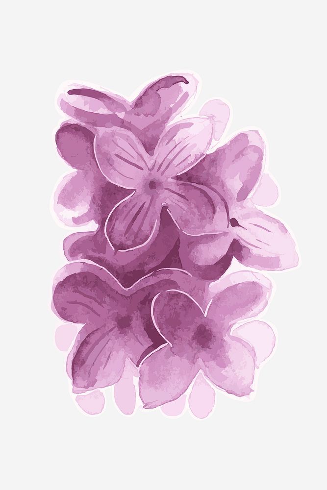 Classic purple lilac hand drawn watercolor flower