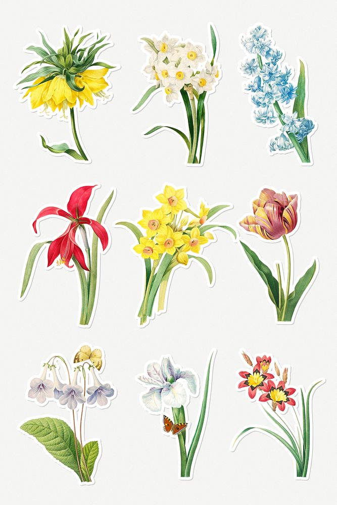 Blooming flower sticker design element set 