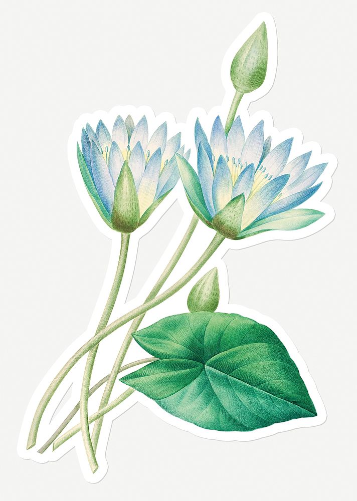 Egyptian lotus sticker design resource 