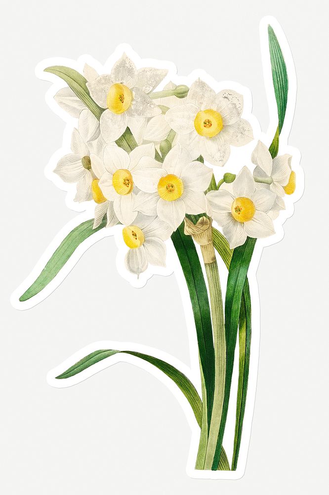 Chinese sacred lily sticker design resource 