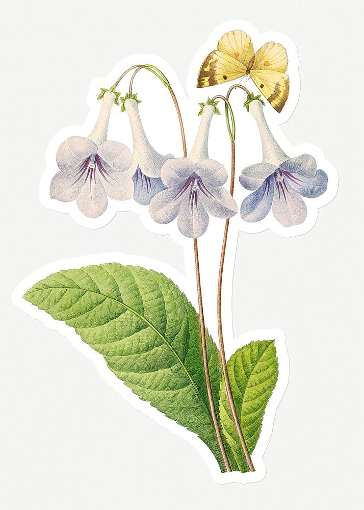 Canterbury bells flower sticker design resource 
