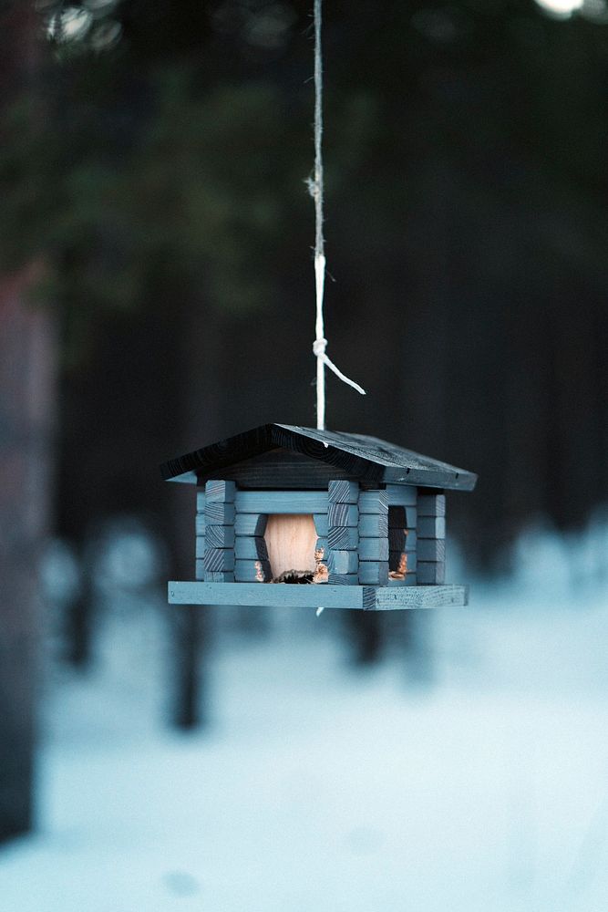 Little wooden bird house hanging from a tree during winter