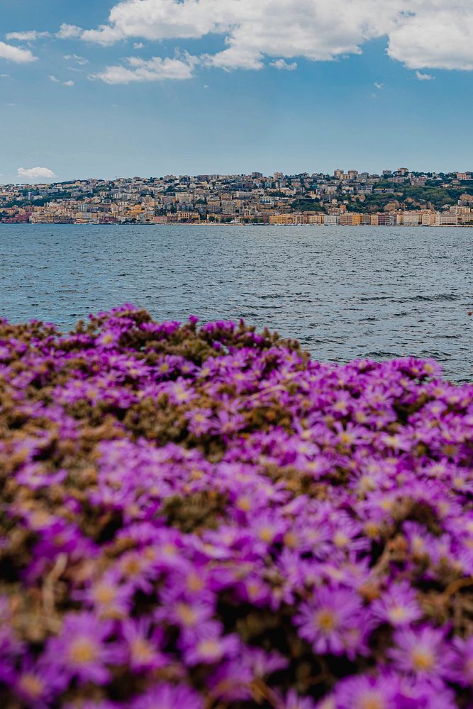 View of the Gulf of Naples, Italy