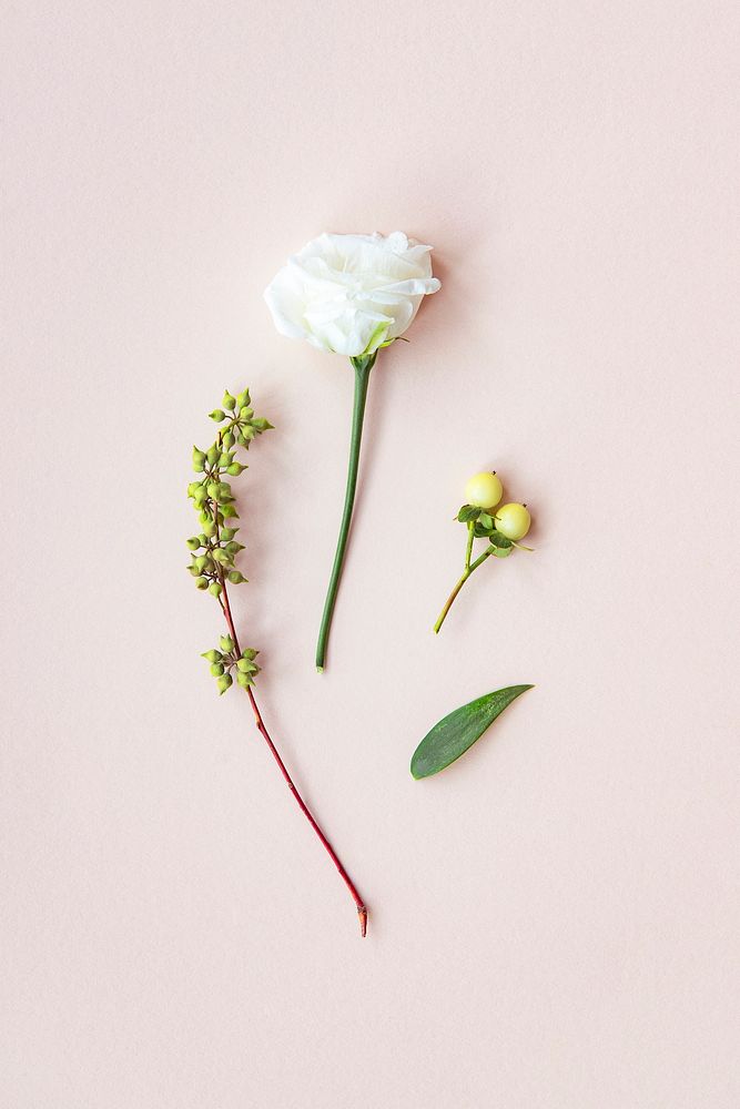 White lisianthus and hypericum berries on a light pink background