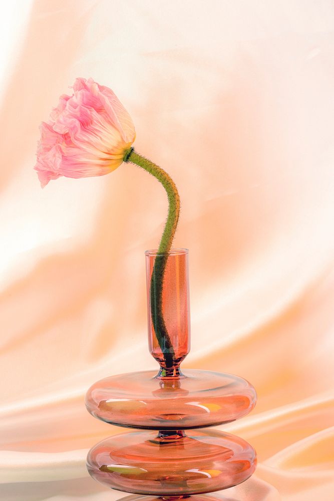 Pink poppy flower in a brown vase