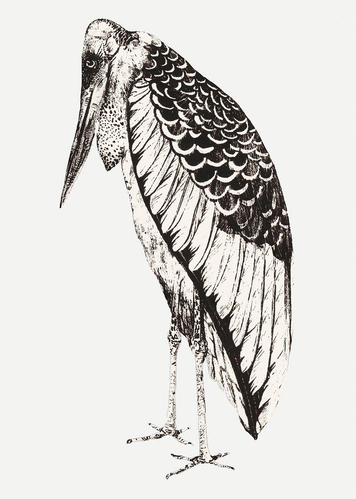 Vintage stork bird art print, remix from artworks by Theo van Hoytema