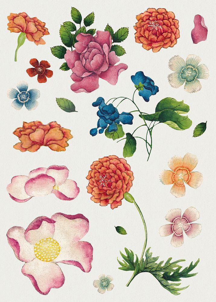 Vintage Chinese flower set, remix from artworks by Zhang Ruoai