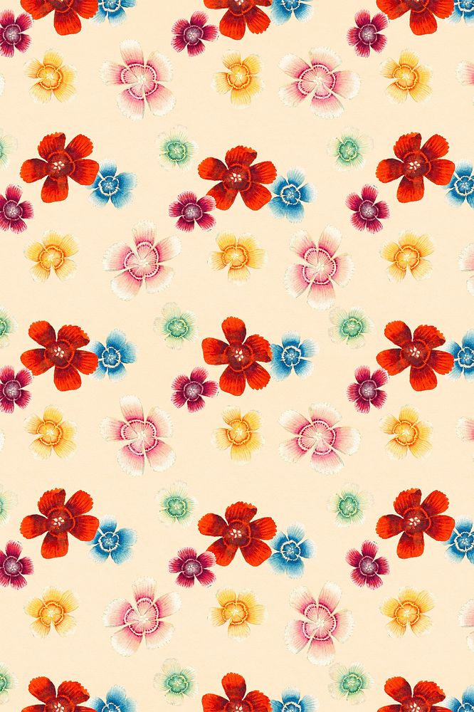 Sweet William floral pattern background, remix from artworks by Zhang Ruoai