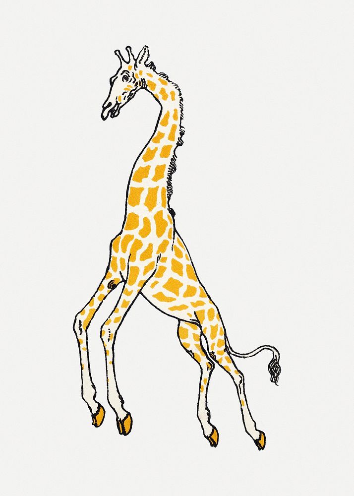 Vintage giraffe illustration, remixed from artworks by Moriz Jung