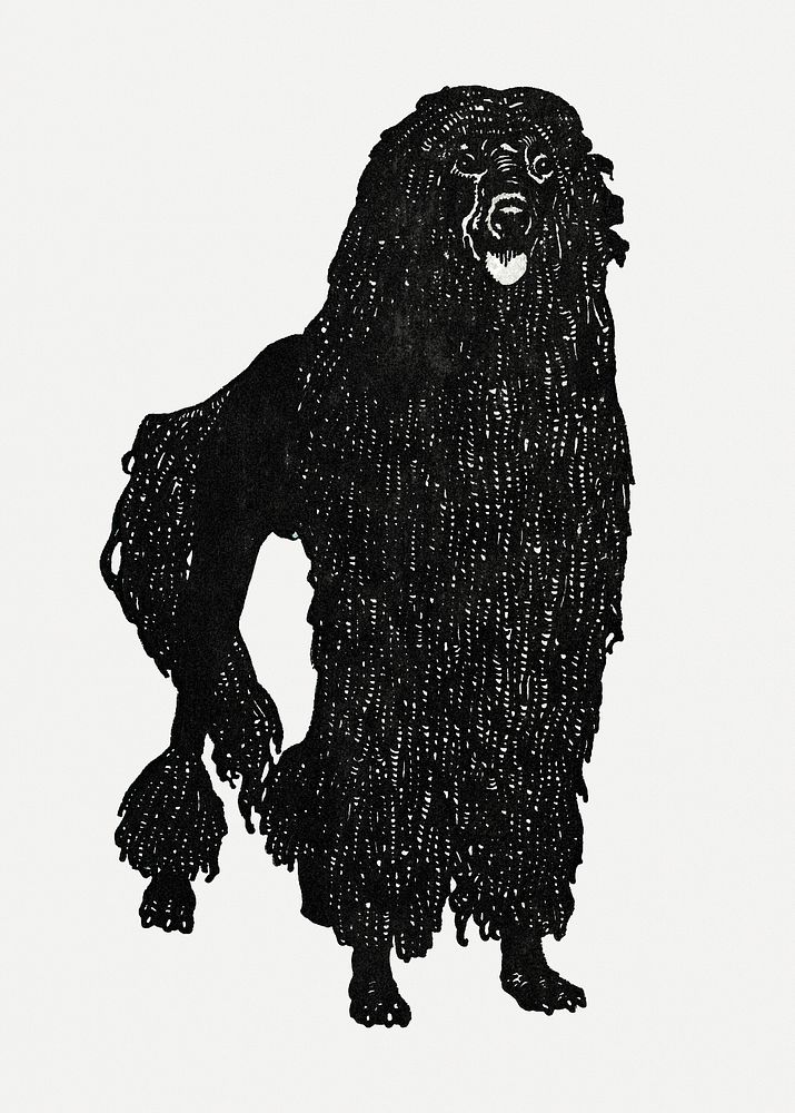 Vintage Poodle dog art print, remixed from artworks by Moriz Jung