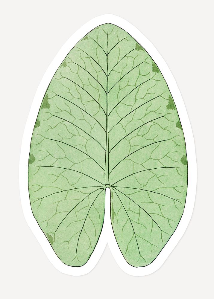 Vintage water lily leaf sticker with white border design element