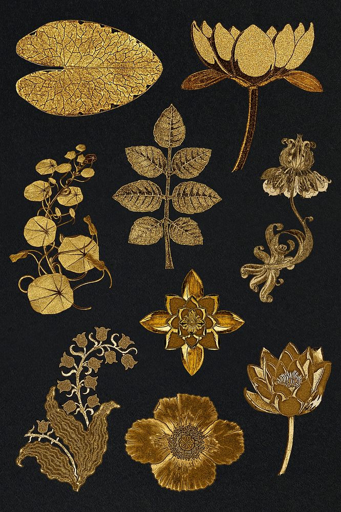 Vintage gold flower and leaf illustration design element set