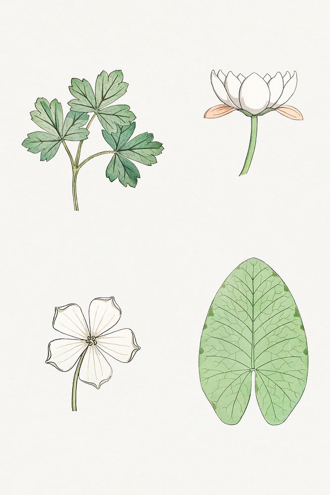 Vintage flower and leaf design element