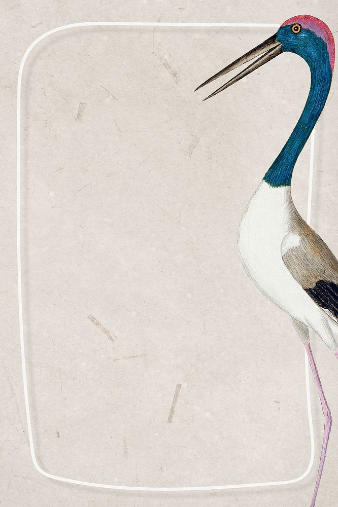 Black-necked stork frame vintage illustration template