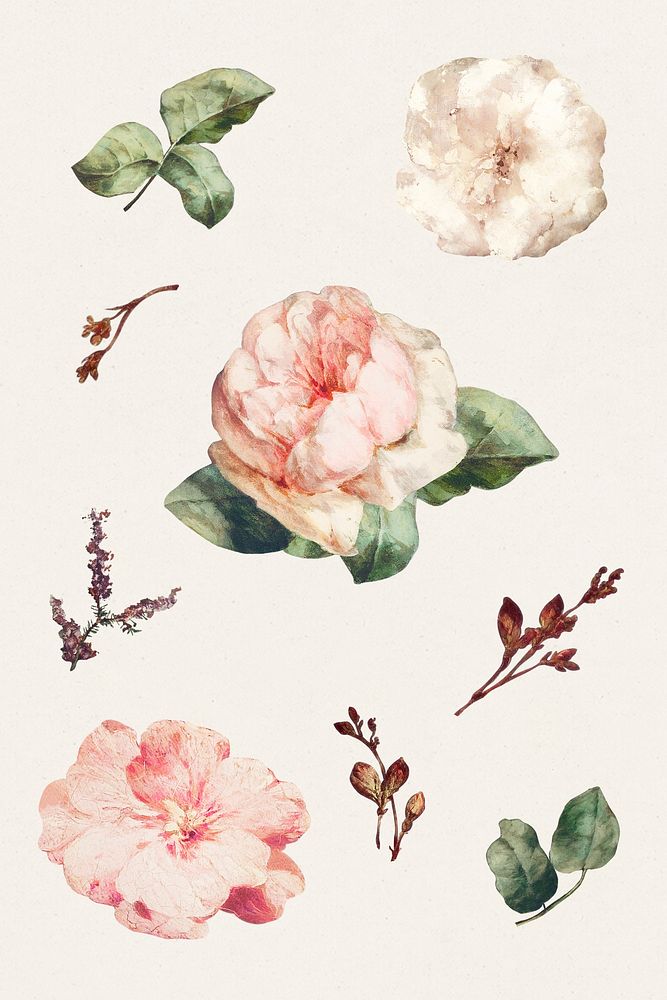 Vintage floral collection illustration collection template