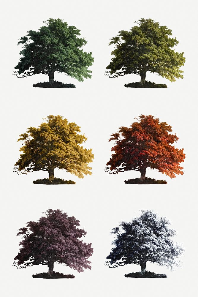 Set of vintage oak trees mockup