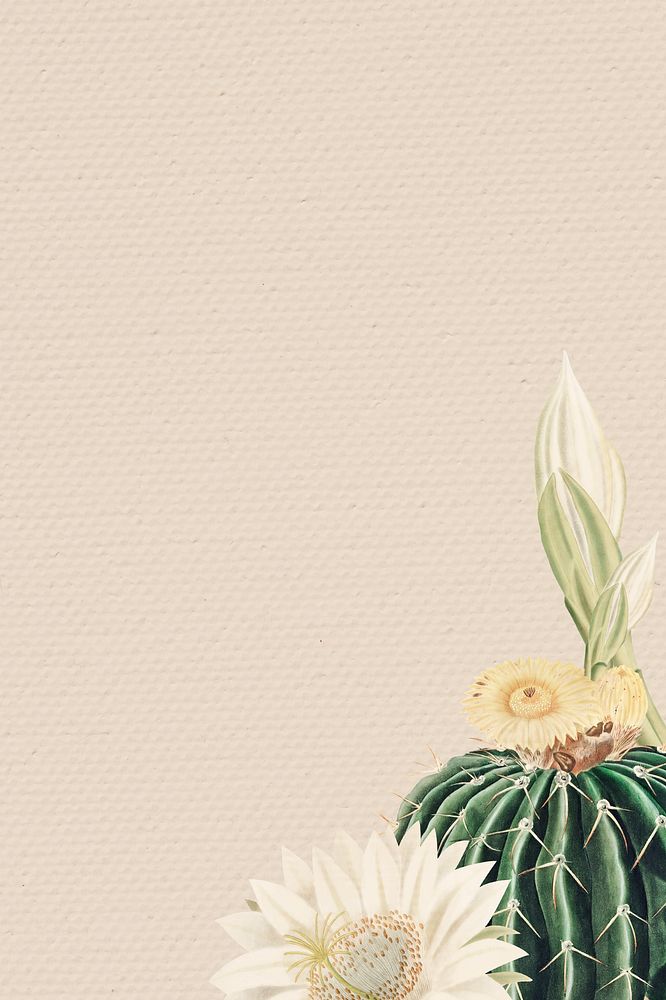 Vintage green cactus with flower frame background design element