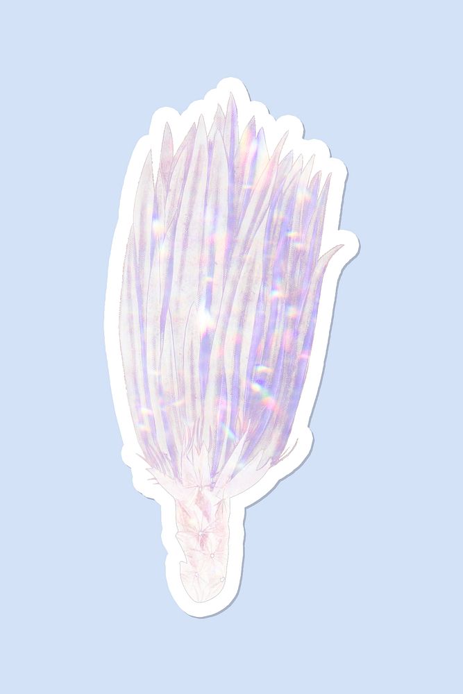 Holographic rainbow cactus flower sticker with white border