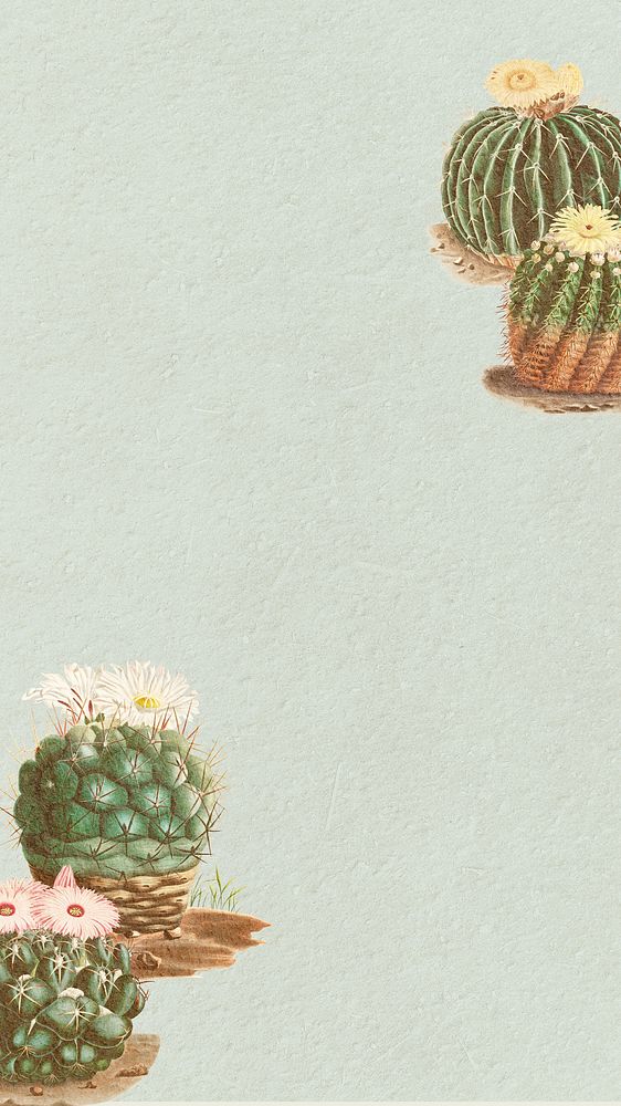 Vintage green cactus with flower mobile phone wallpaper