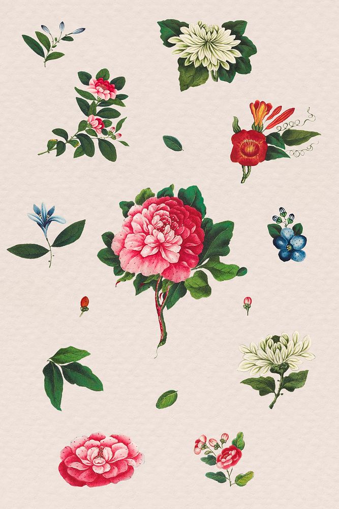 Beautiful vintage Chinese flower illustrations set mockup