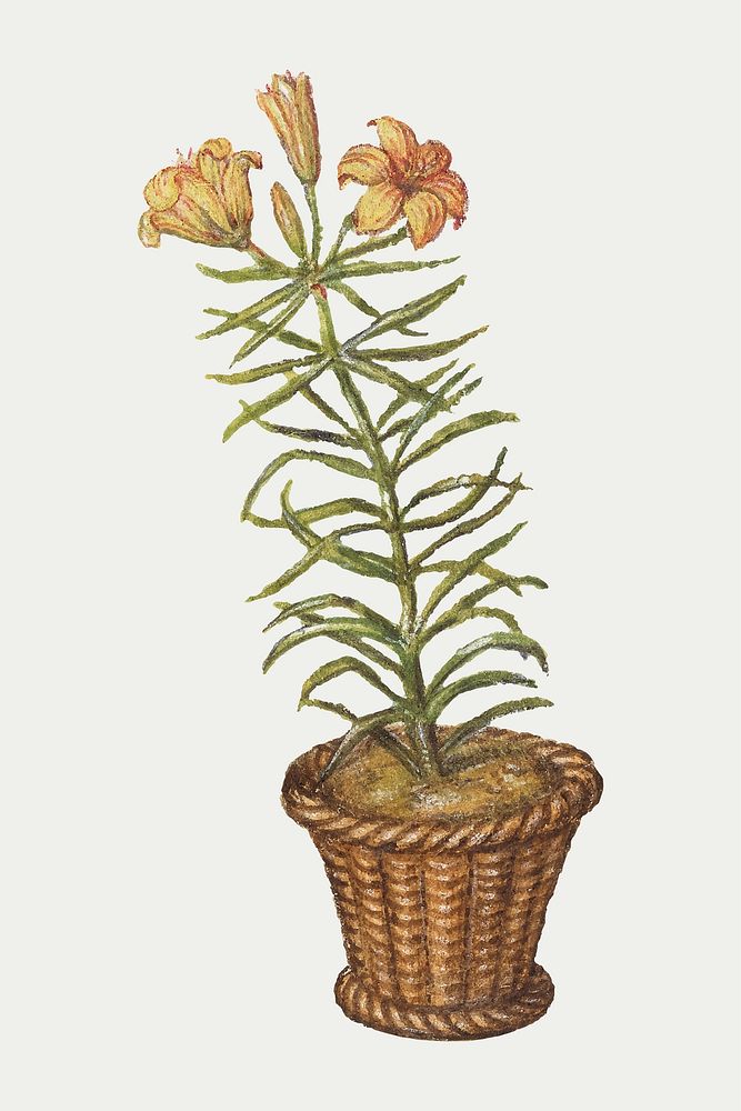 Hand drawn vintage flower pot vector floral illustration