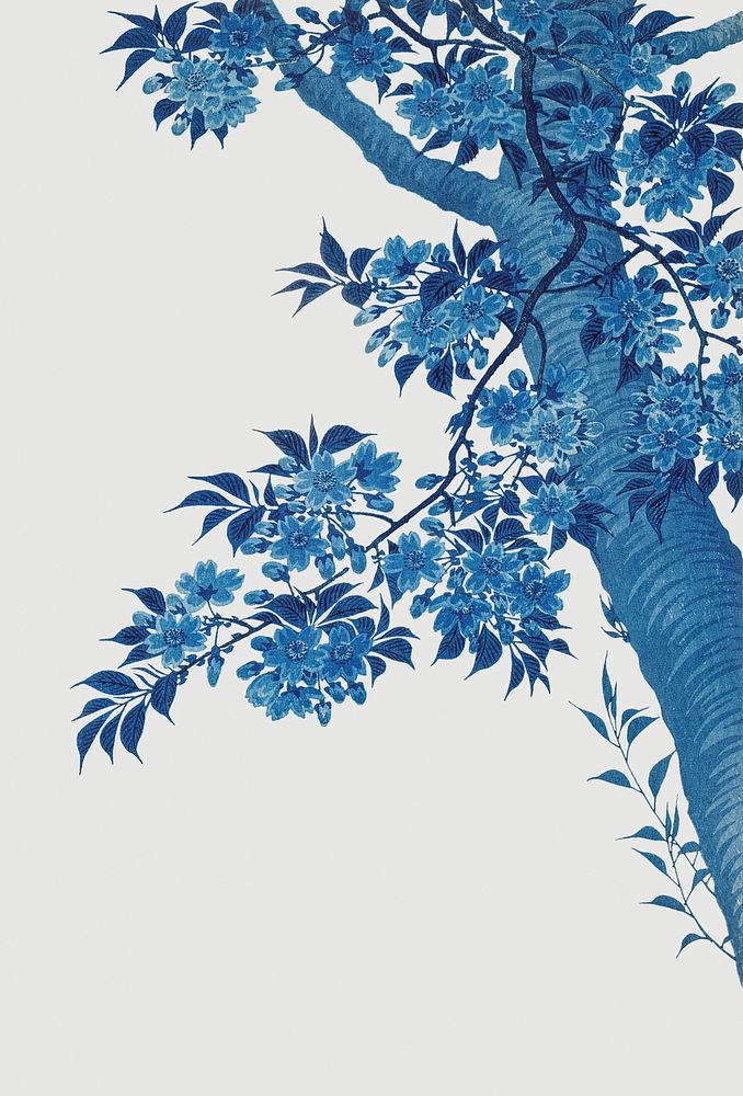 Blue cherry blossom branch illustration on blue background 