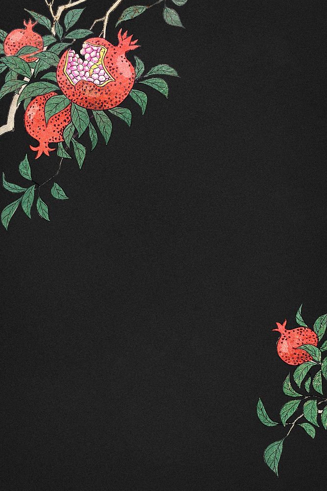 Pomegranate on a branch border background illustration