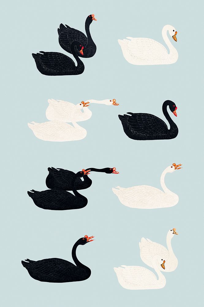 White and black geese design elements 