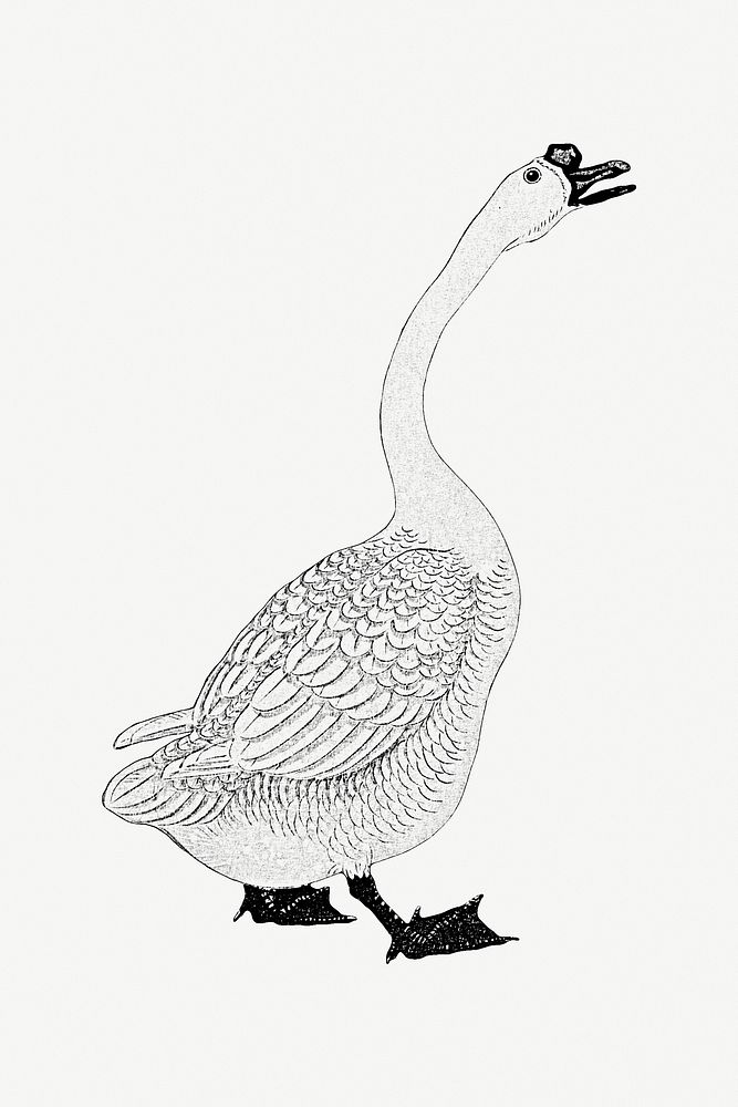 Black goose outline vintage illustration 