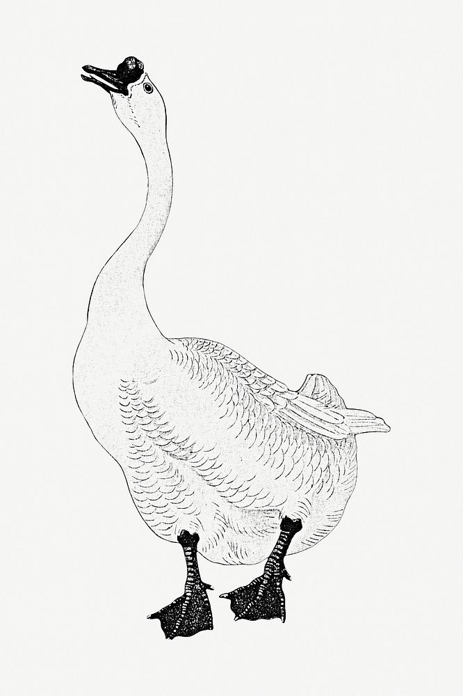 Black goose outline vintage illustration 