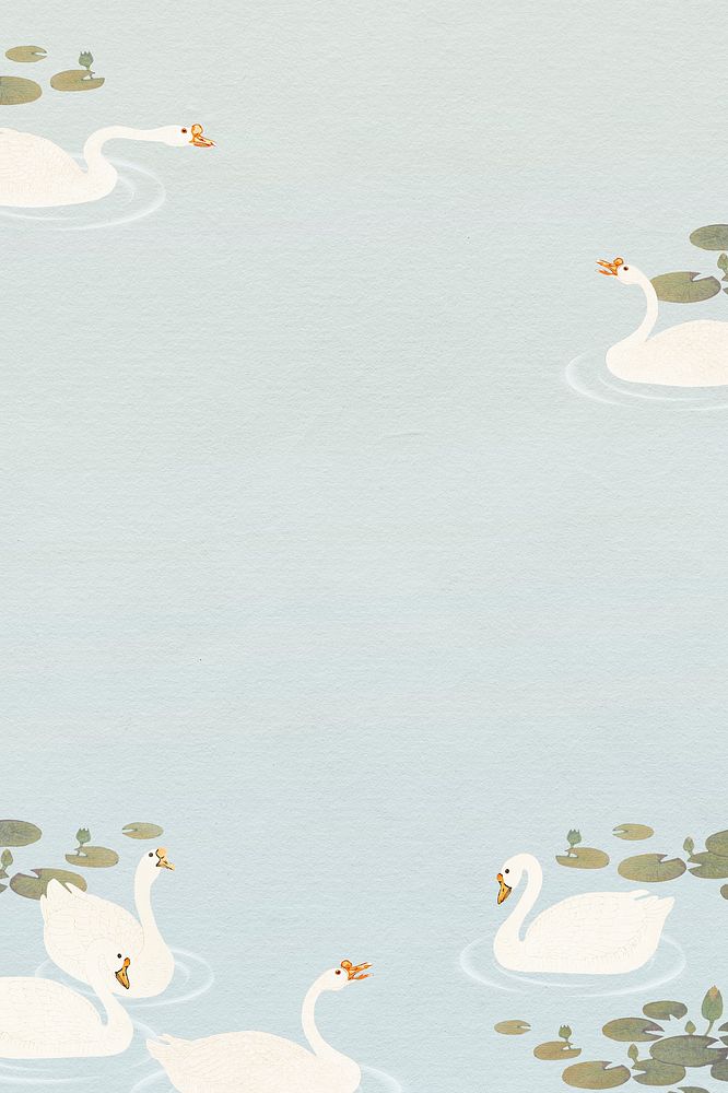 Swimming white geese in a lotus pond background illustration