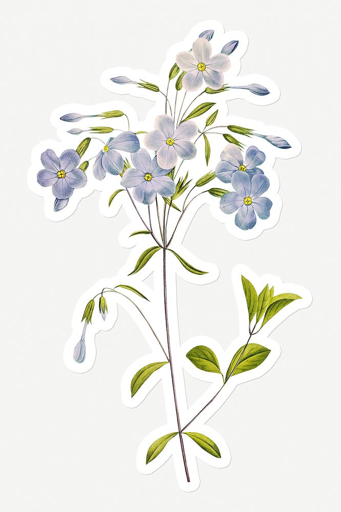 Reptans flower sticker design resource 