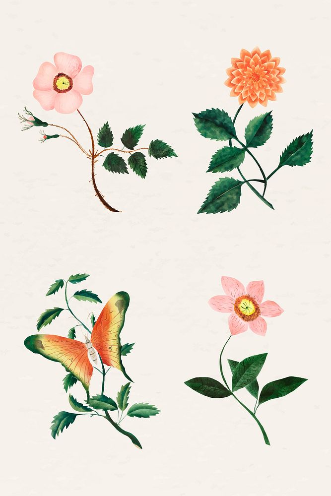 Vintage flower set illustration vector