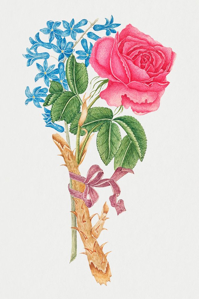 Vintage rose and forget me nots psd illustration, remixed from the 18th-century artworks from the Smithsonian archive.