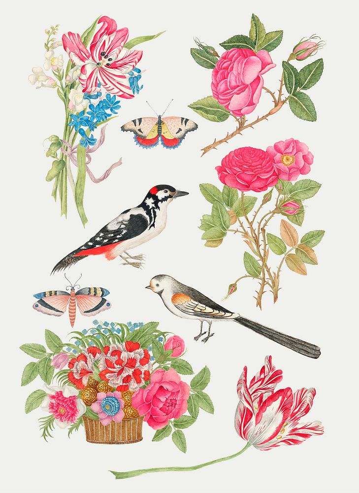 Vintage flowers and birds vector illustration set, remixed from the 18th-century artworks from the Smithsonian archive.
