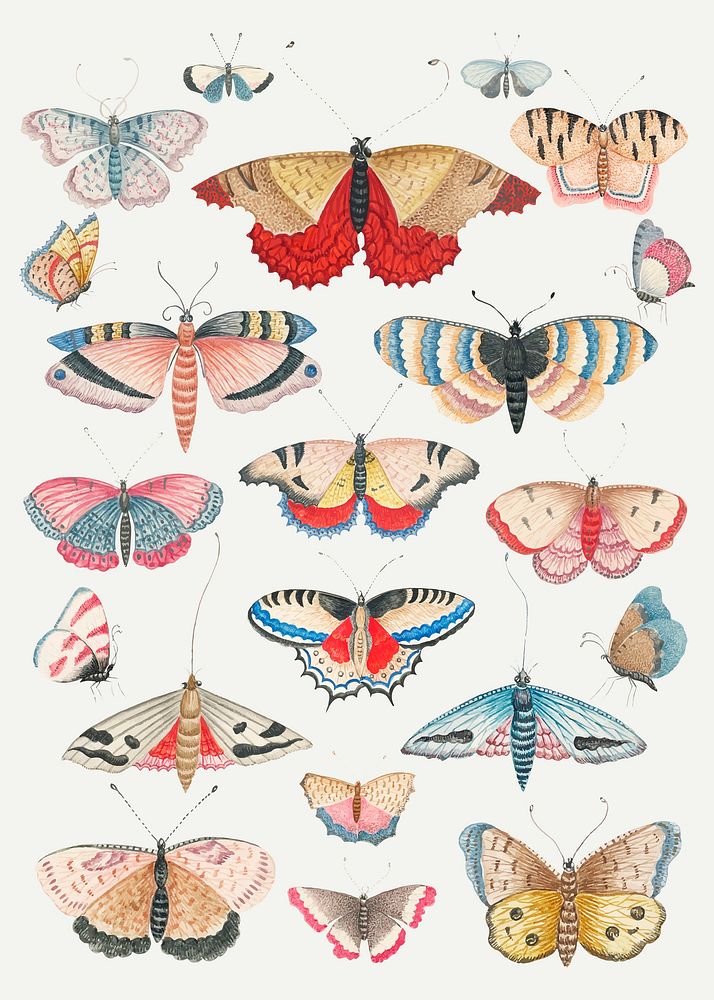Vintage butterfly vector illustration collection, remixed from the 18th-century artworks from the Smithsonian archive.