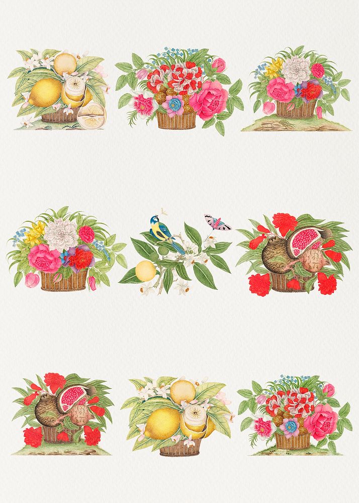 Vintage basket of flowers and fruits illustration set, remixed from the 18th-century artworks from the Smithsonian archive.