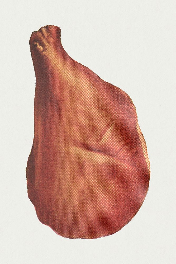 Vintage mild cured ham design element