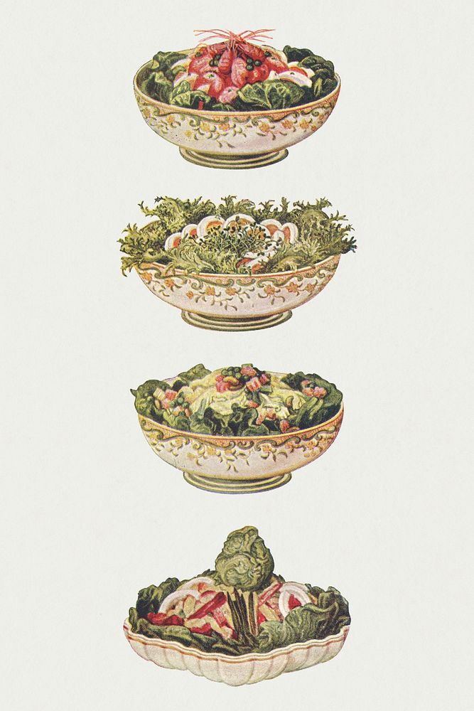 Hand drawn set of salad dishes design resources
