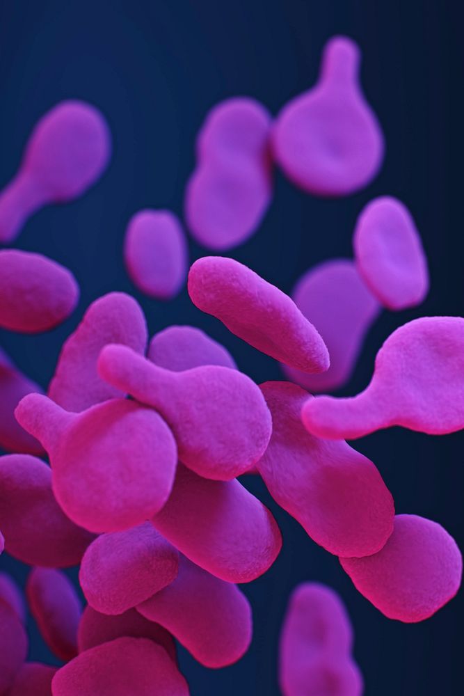 A medical illustration of drug&ndash;resistant, Mycoplasma genitalium bacteria. Original image sourced from US Government…