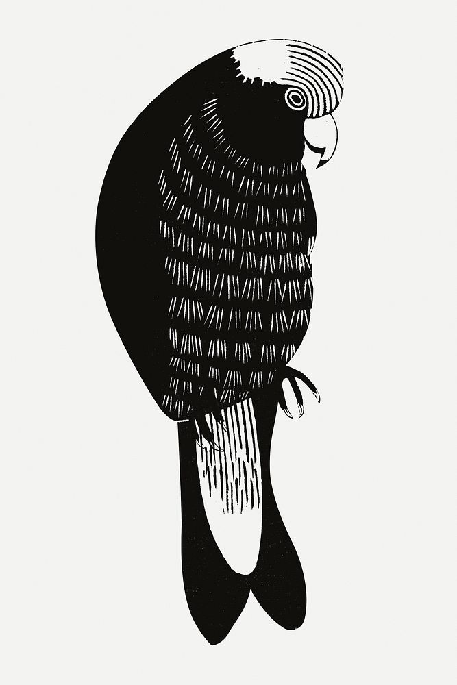 Vintage galah cockatoos psd animal art print, remix from artworks by Samuel Jessurun de Mesquita