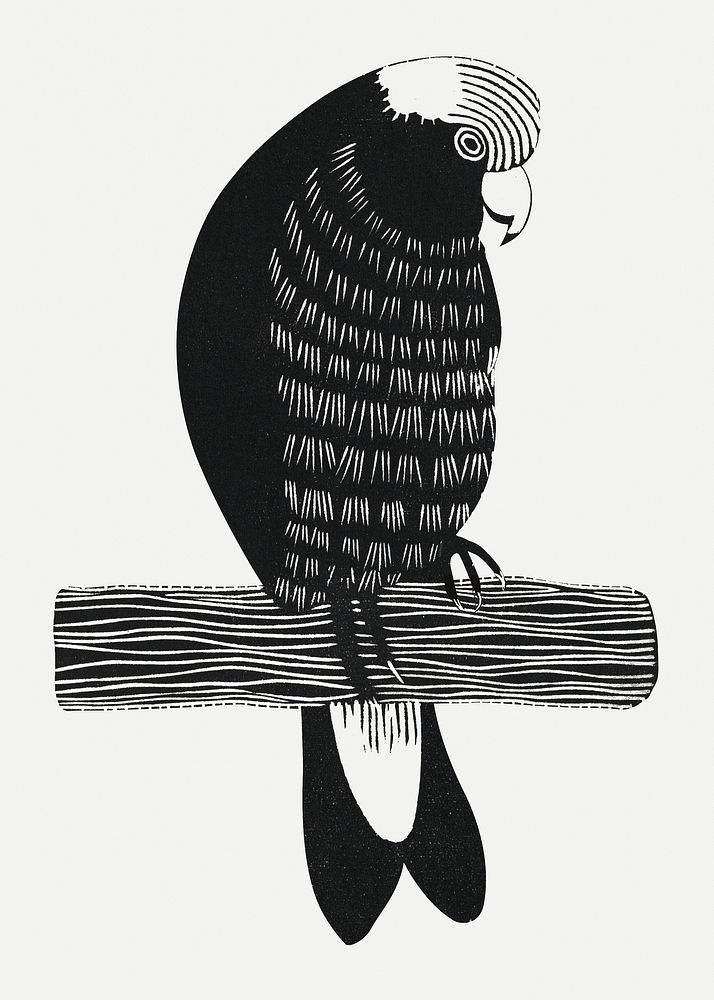 Vintage galah cockatoos psd animal art print, remix from artworks by Samuel Jessurun de Mesquita