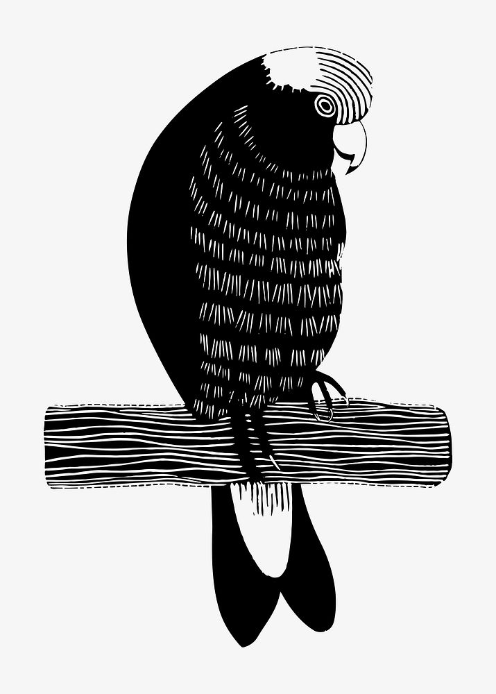 Vintage galah cockatoos animal art print vector, remix from artworks by Samuel Jessurun de Mesquita