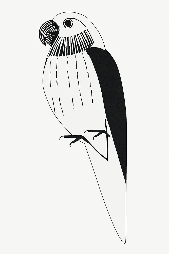 Vintage parakeet psd animal art print, remix from artworks by Samuel Jessurun de Mesquita