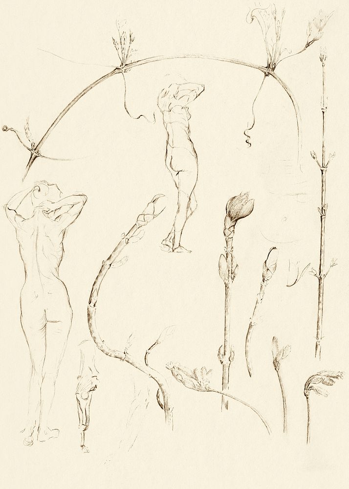 Branch and Nude Study by Solon H. Borglum. Original from The Smithsonian. Digitally enhanced by rawpixel.